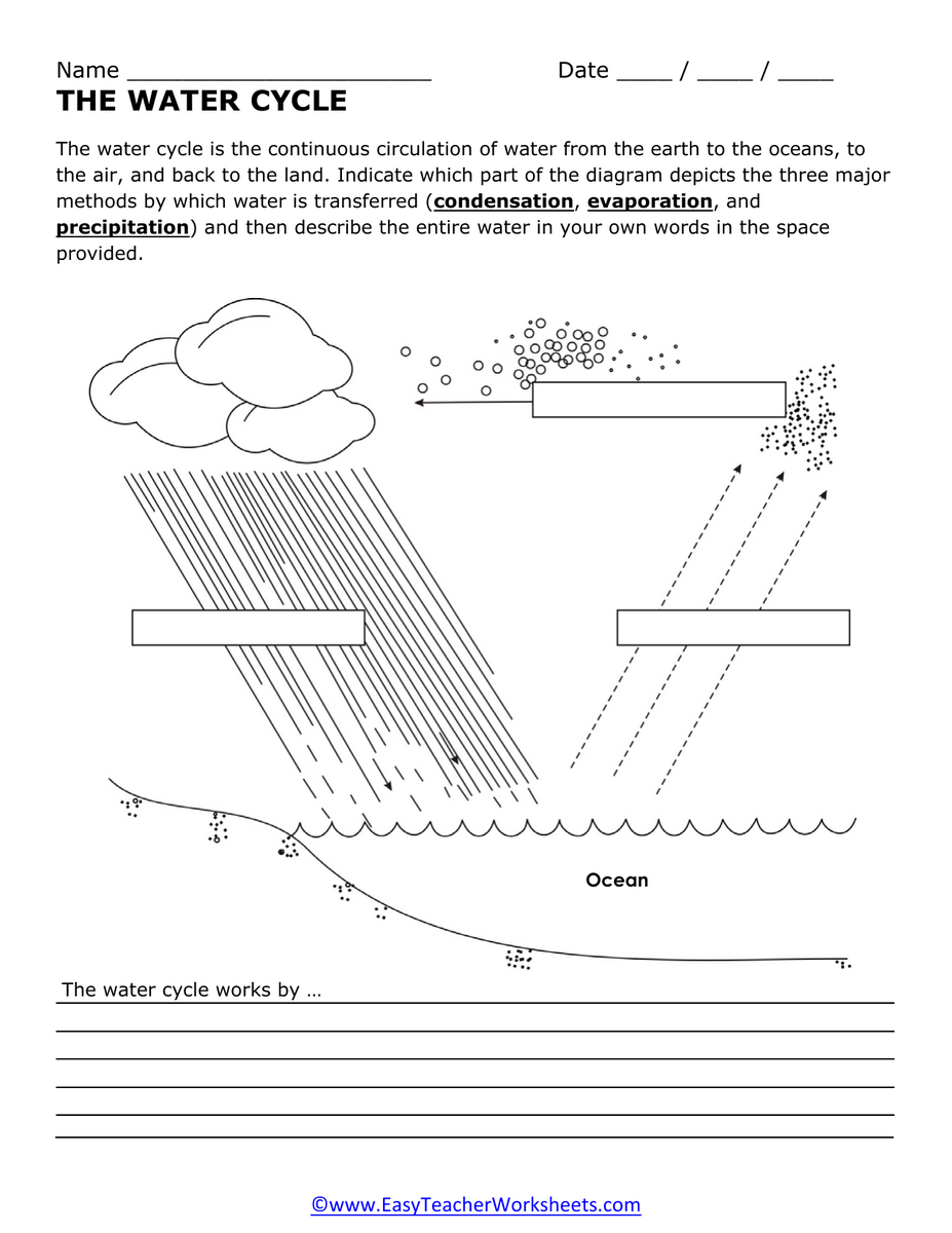Water Cycle Worksheet Condensation Evaporation Precipitation Water Cycle Worksheet Condensation Evaporation Precipitation