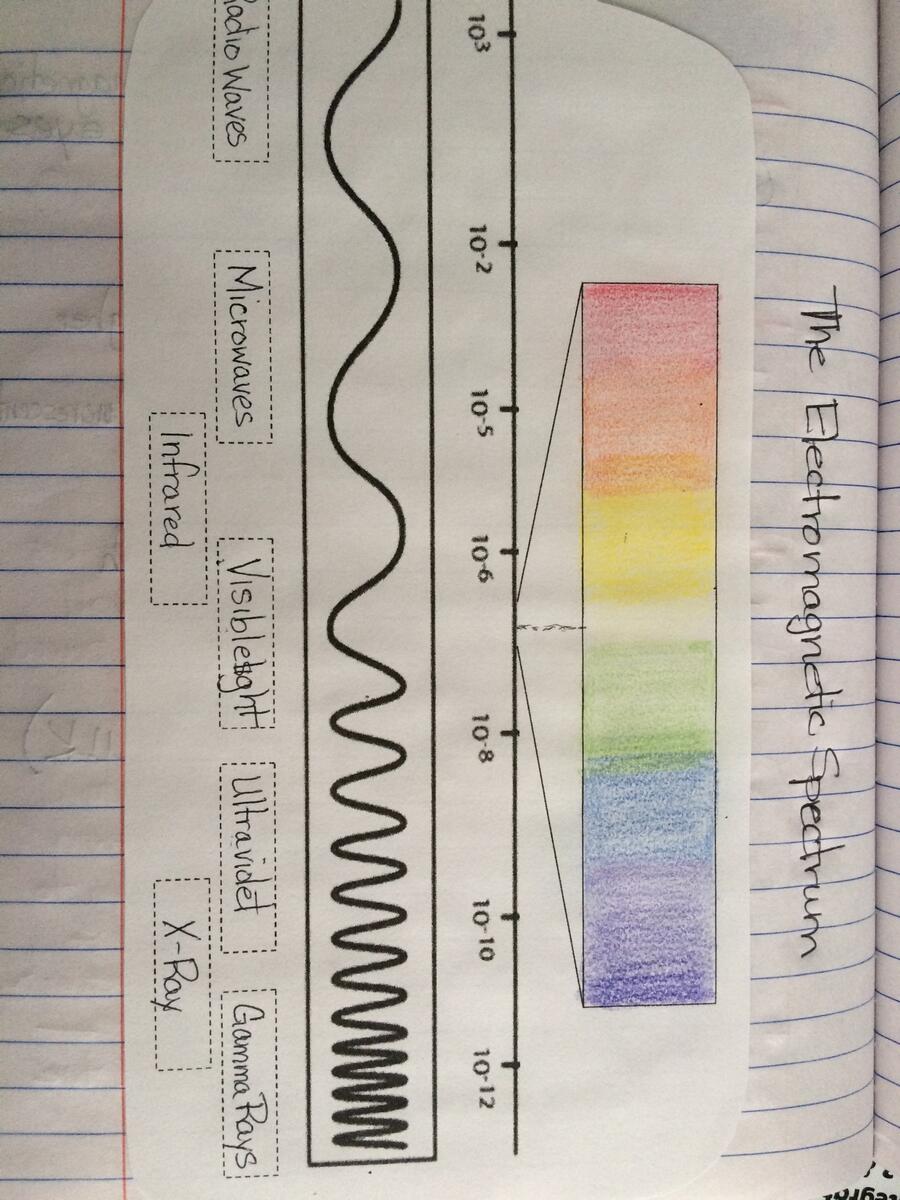 Waves MATH SCIENCE WARRIOR Waves MATH SCIENCE WARRIOR