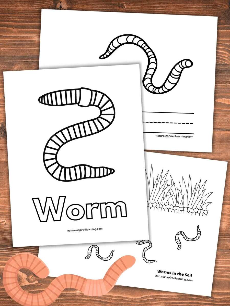 Wiggly Worm Coloring Pages Nature Inspired Learning