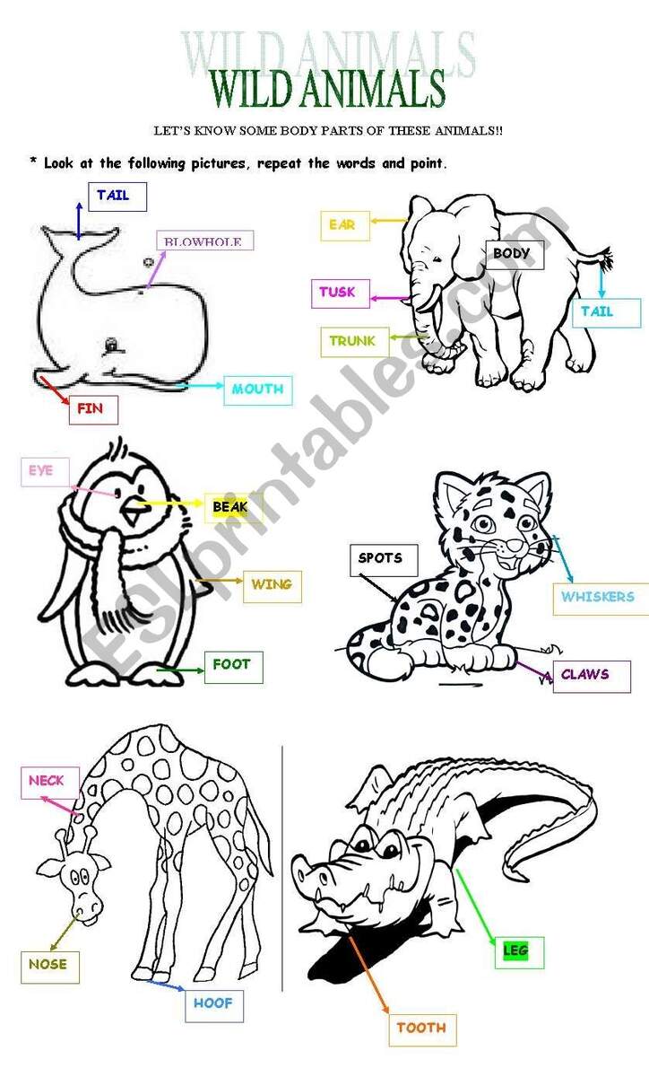 WILD ANIMALS BODY PARTS ESL Worksheet By CariReguilleau WILD ANIMALS BODY PARTS ESL Worksheet By CariReguilleau
