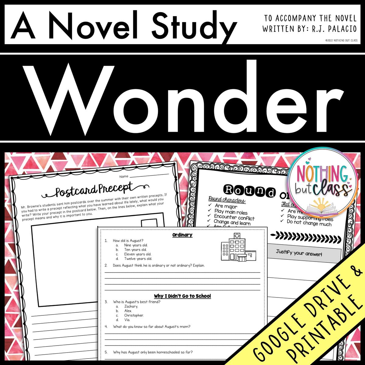 WONDER Chapter Summaries Made By Teachers