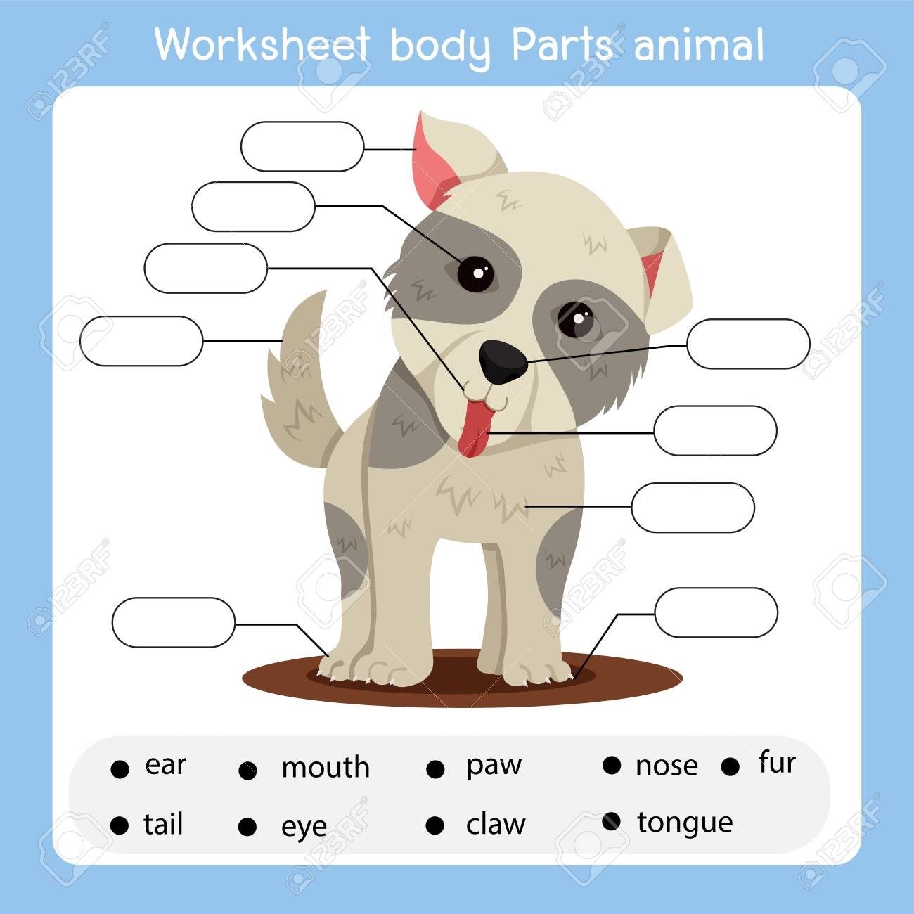 Worksheet Body Parts Dog Animal Royalty Free SVG Cliparts Vectors And Stock Illustration Image 148871544
