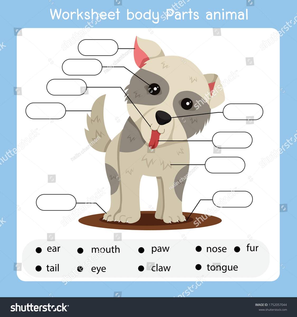 Worksheet Body Parts Dog Animal Stock Vector Royalty Free 1752057044 Shutterstock