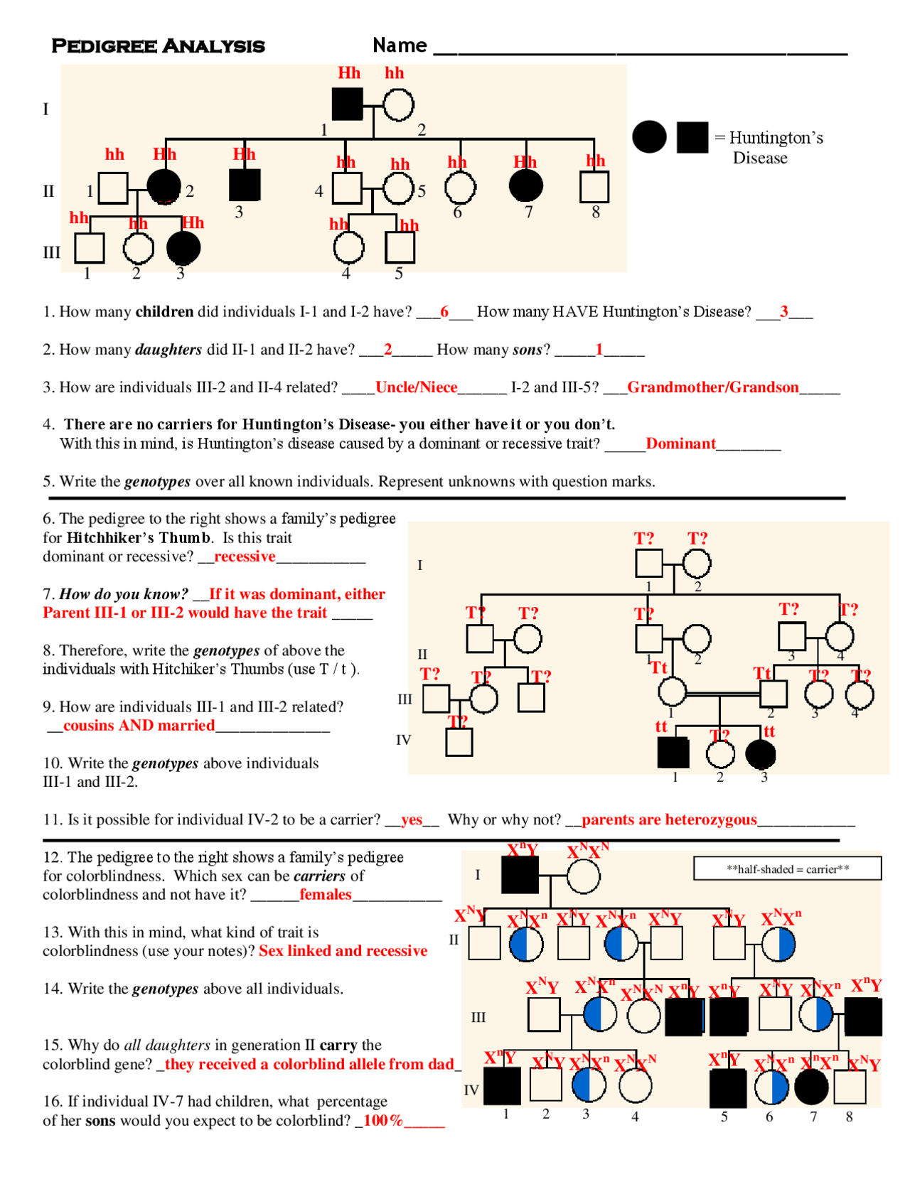 Worksheet For Pedigree Analysis And Practice Key Exercises Genetics Docsity Worksheet For Pedigree Analysis And Practice Key Exercises Genetics Docsity