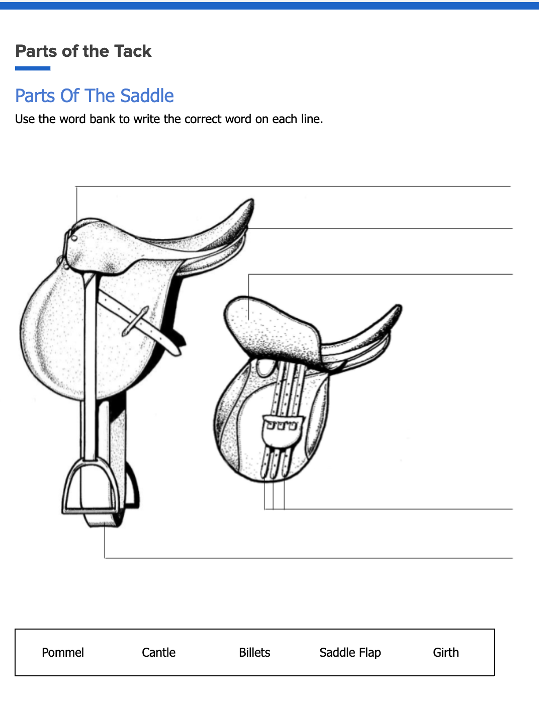 Worksheet Parts Of The Tack White Oak Stables