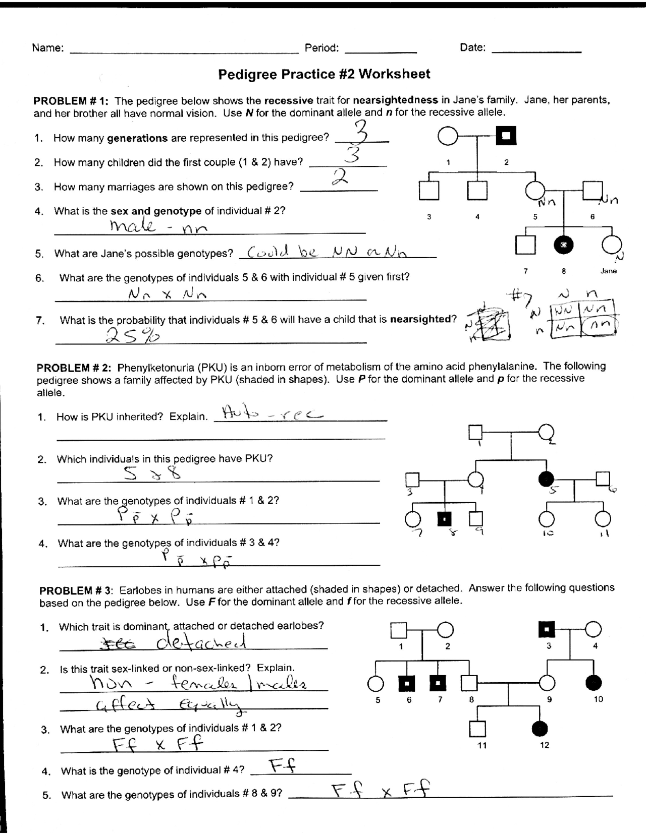 Worksheet Pedigree Practice With Answer Key Exercises Genetics Docsity