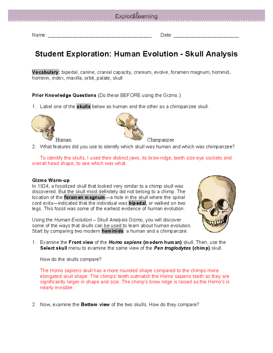 Your Inner Fish Video Worksheet Questions Answers Studocu Your Inner Fish Video Worksheet Questions Answers Studocu