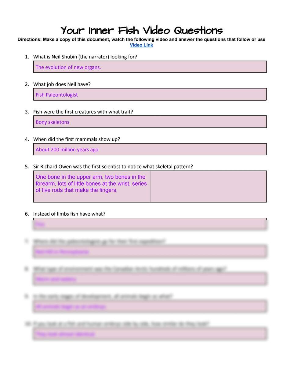 Your Inner Fish Video Worksheet Worksheets Library Your Inner Fish Video Worksheet Worksheets Library